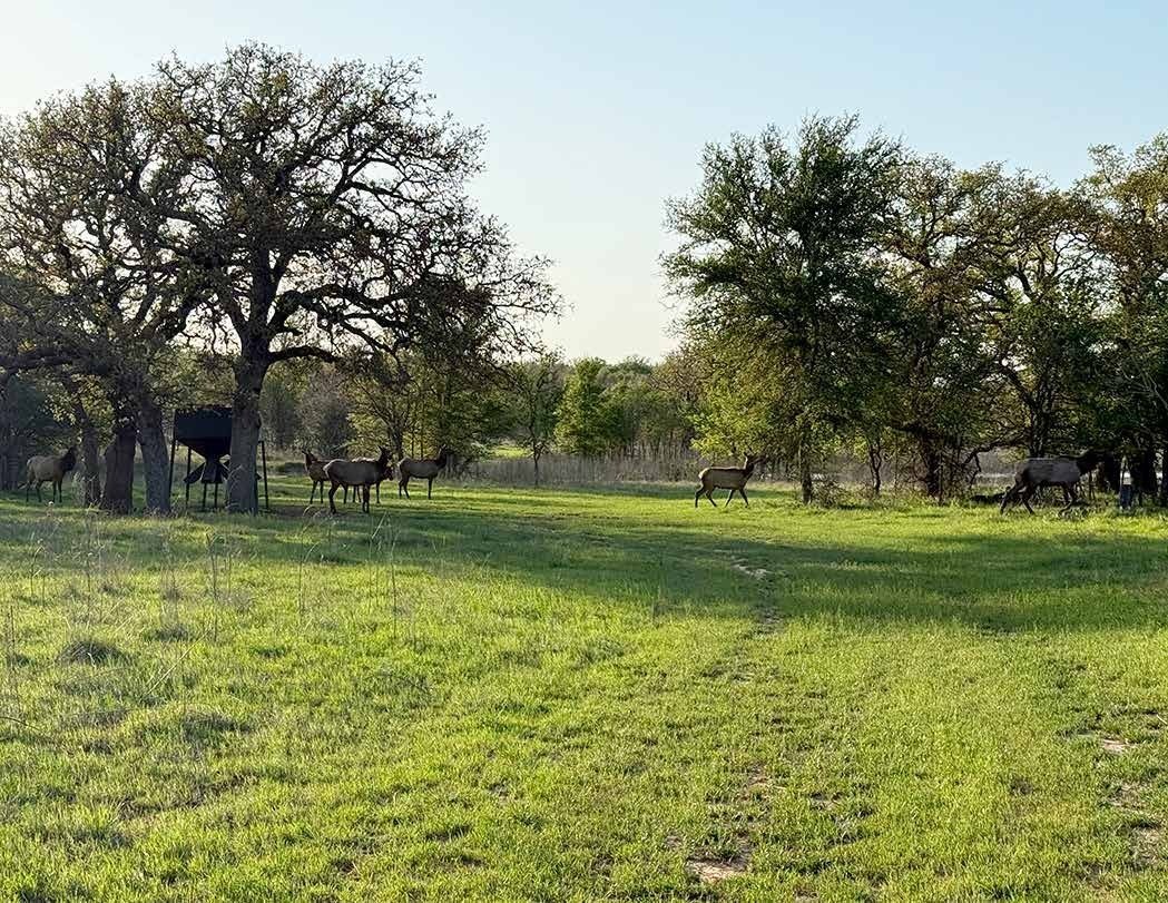 Indian Hills Ranch